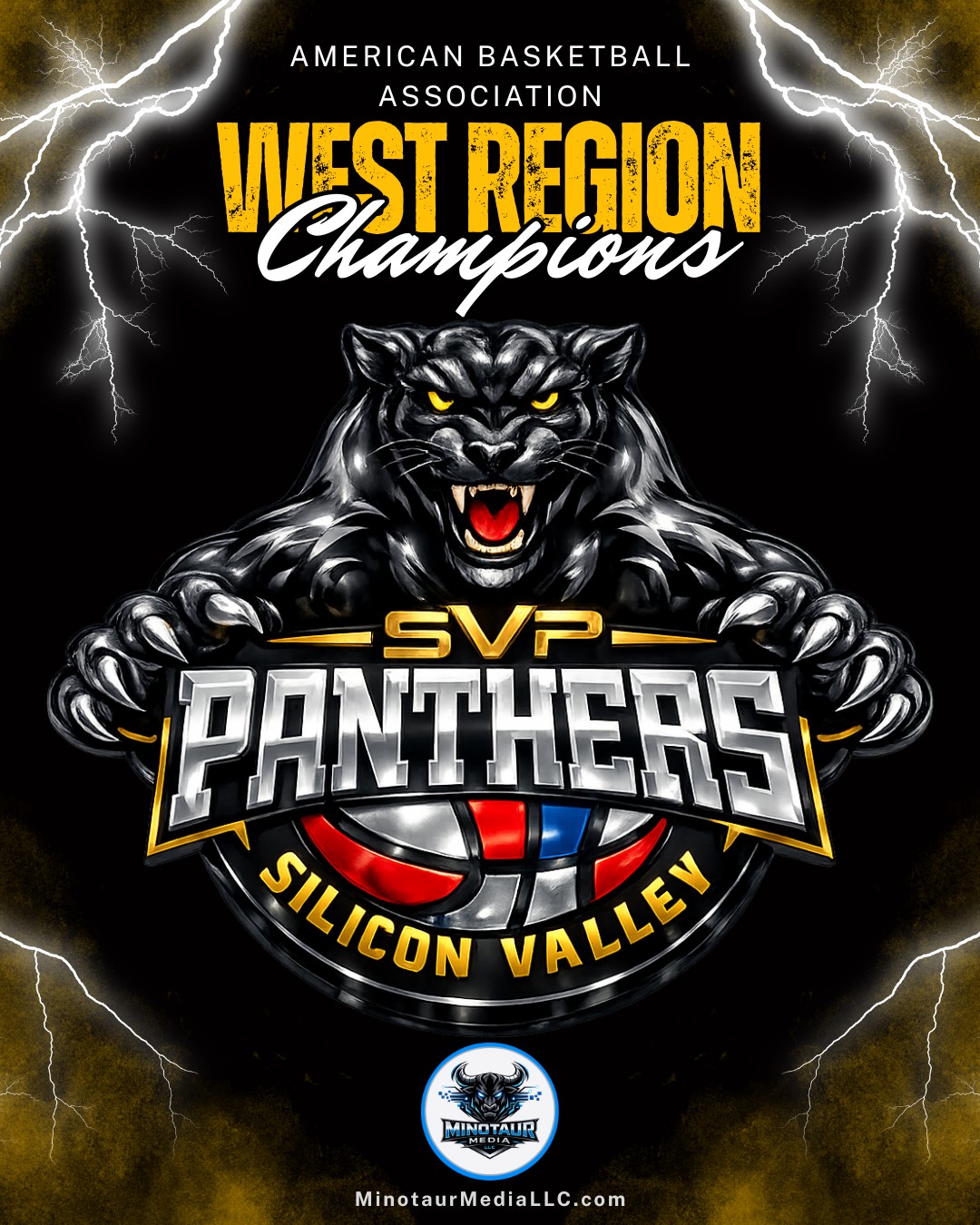 Why You Should Root for the Silicon Valley Panthers